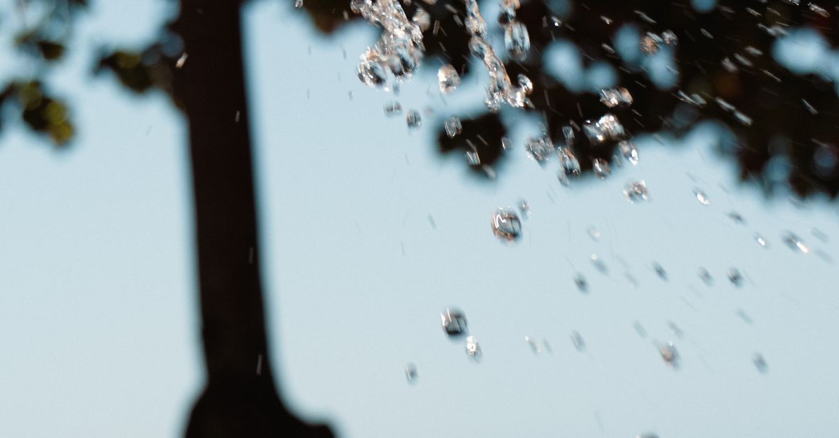 Best Practices for Commercial Plumbing Inspections in Hervey Bay